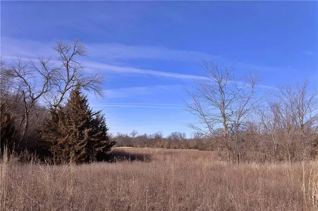 $325,000 | Flint Avenue, Jameson, MO 64647