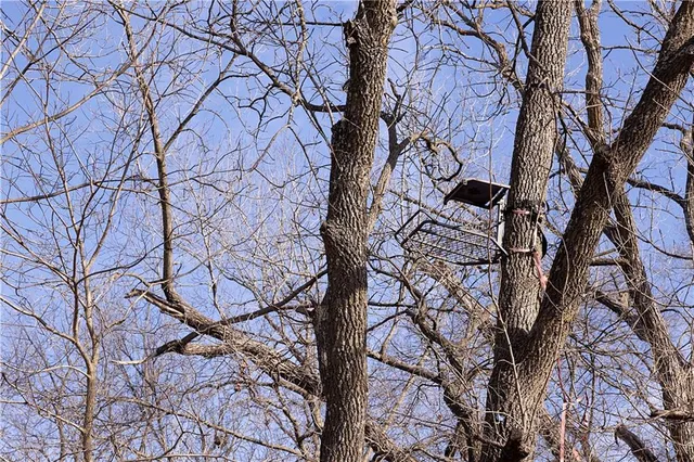 $325,000 | Flint Avenue, Jameson, MO 64647