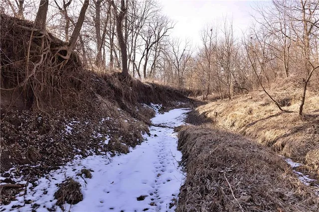 $325,000 | Flint Avenue, Jameson, MO 64647