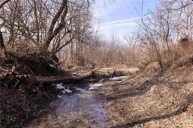 $325,000 | Flint Avenue, Jameson, MO 64647