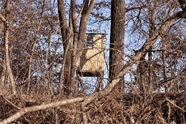 $325,000 | Flint Avenue, Jameson, MO 64647