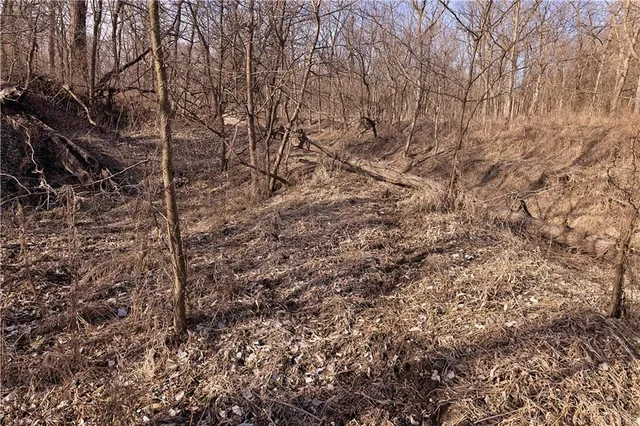 $325,000 | Flint Avenue, Jameson, MO 64647