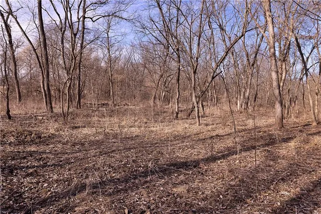 $325,000 | Flint Avenue, Jameson, MO 64647