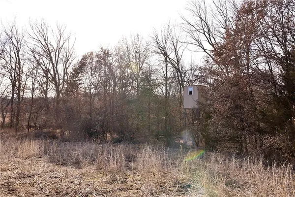 $325,000 | Flint Avenue, Jameson, MO 64647