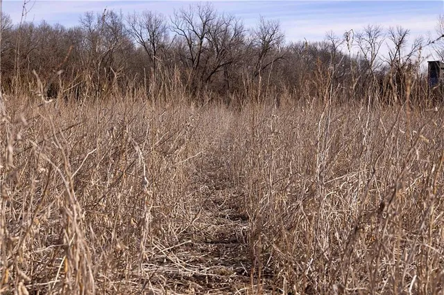 $325,000 | Flint Avenue, Jameson, MO 64647