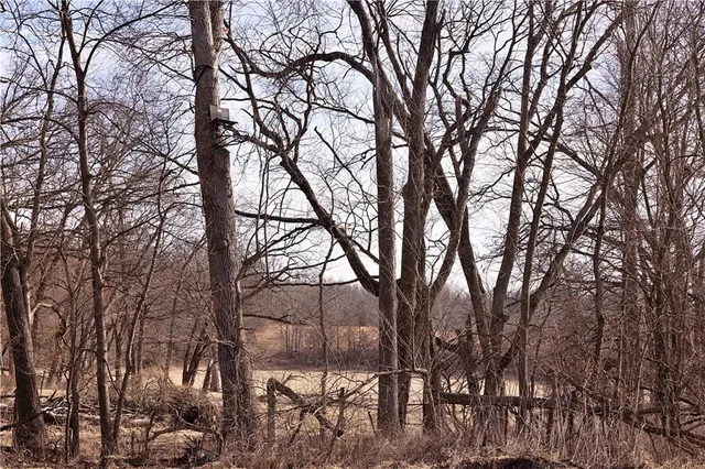 $325,000 | Flint Avenue, Jameson, MO 64647