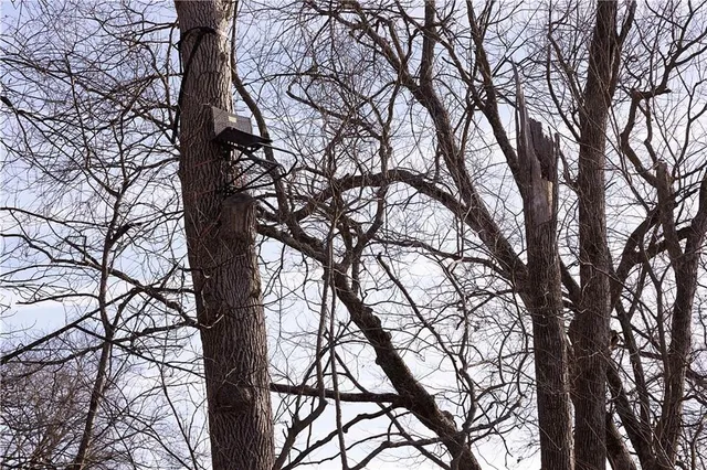 $325,000 | Flint Avenue, Jameson, MO 64647