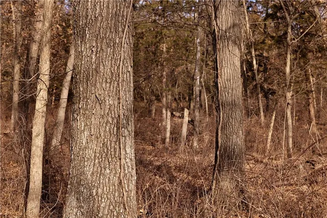 $325,000 | Flint Avenue, Jameson, MO 64647