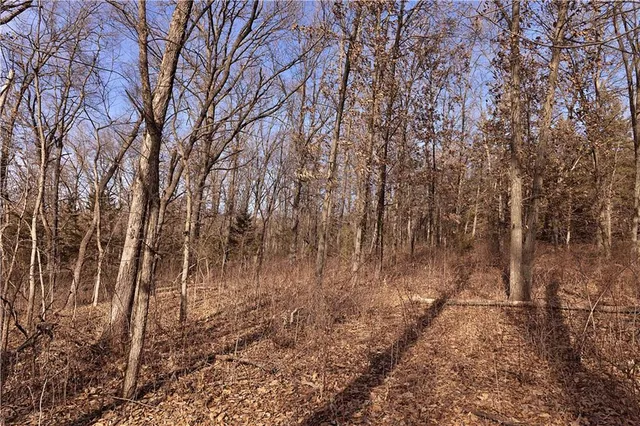 $325,000 | Flint Avenue, Jameson, MO 64647