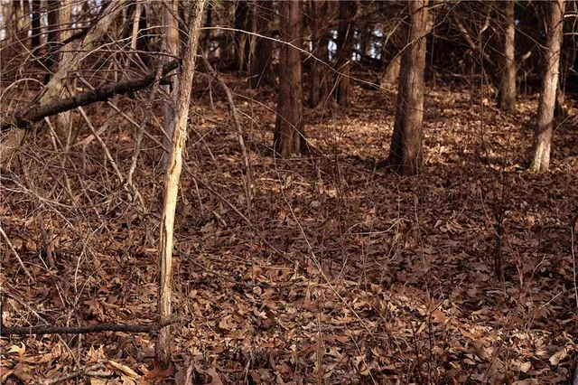 $325,000 | Flint Avenue, Jameson, MO 64647