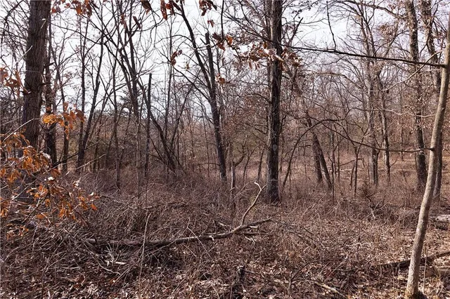 $325,000 | Flint Avenue, Jameson, MO 64647