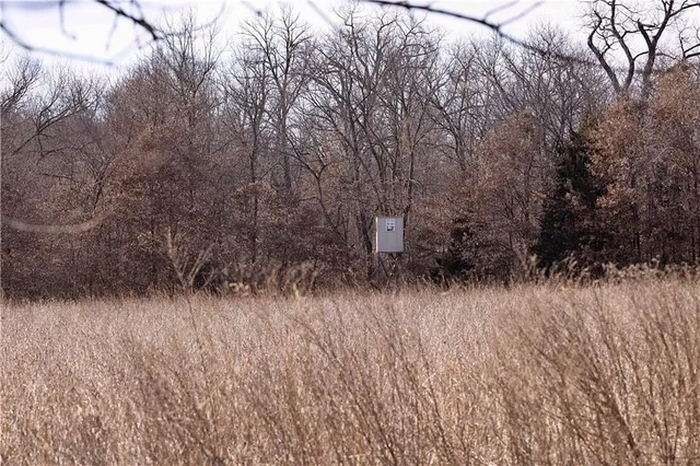 $325,000 | Flint Avenue, Jameson, MO 64647