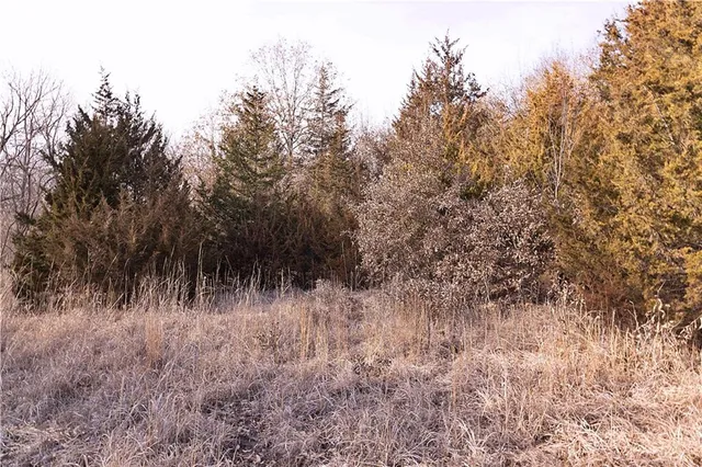 $325,000 | Flint Avenue, Jameson, MO 64647