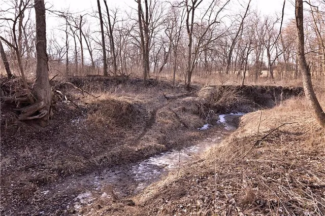 $325,000 | Flint Avenue, Jameson, MO 64647