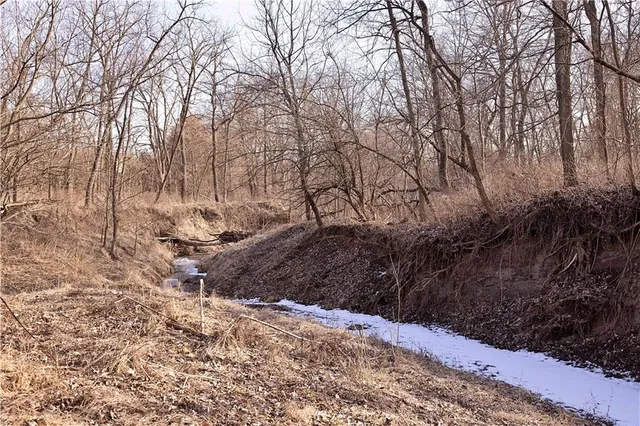 $325,000 | Flint Avenue, Jameson, MO 64647