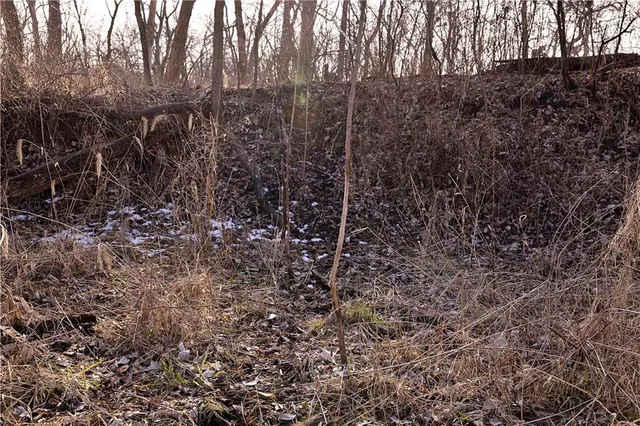 $325,000 | Flint Avenue, Jameson, MO 64647