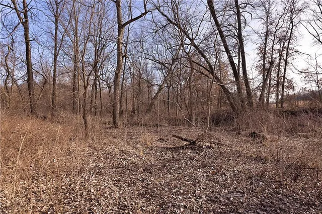 $325,000 | Flint Avenue, Jameson, MO 64647