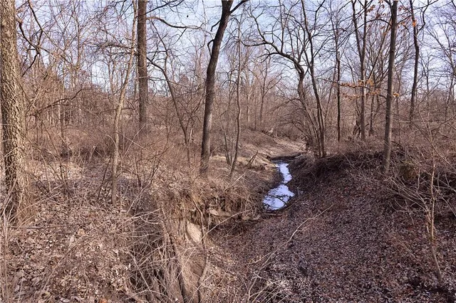 $325,000 | Flint Avenue, Jameson, MO 64647