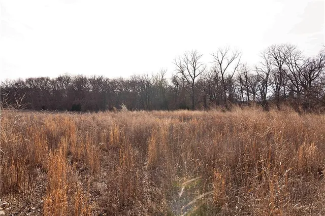 $325,000 | Flint Avenue, Jameson, MO 64647