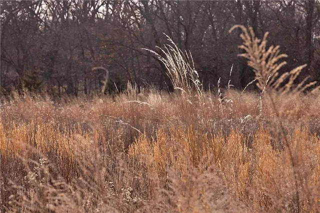 $325,000 | Flint Avenue, Jameson, MO 64647