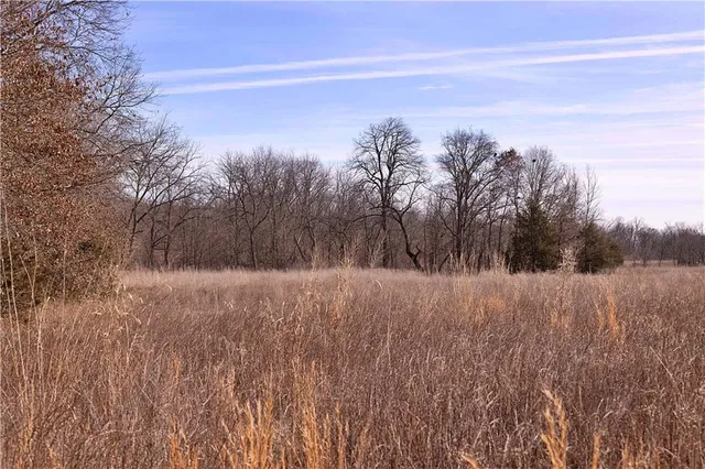 $325,000 | Flint Avenue, Jameson, MO 64647