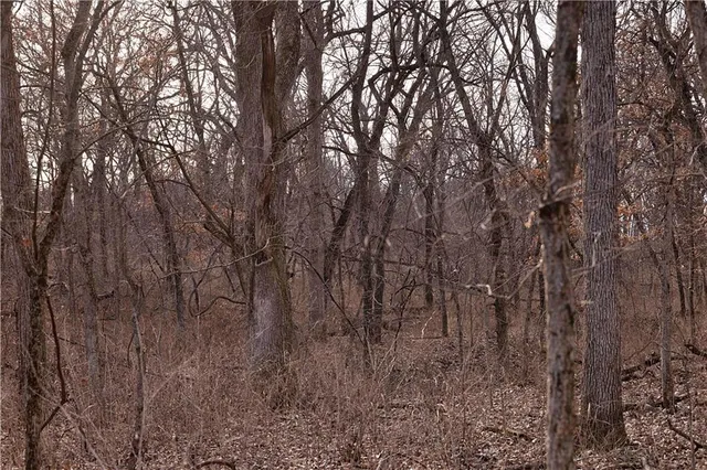 $325,000 | Flint Avenue, Jameson, MO 64647