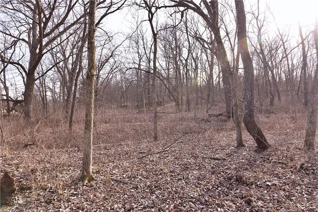 $325,000 | Flint Avenue, Jameson, MO 64647