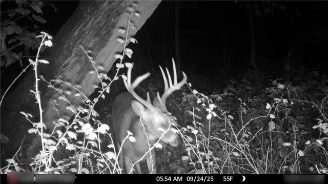 $325,000 | Flint Avenue, Jameson, MO 64647