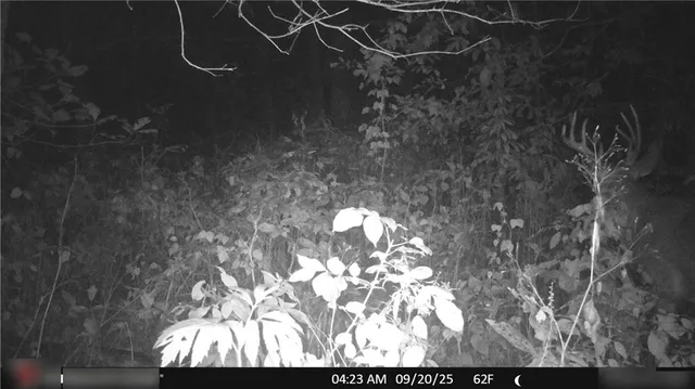 $325,000 | Flint Avenue, Jameson, MO 64647