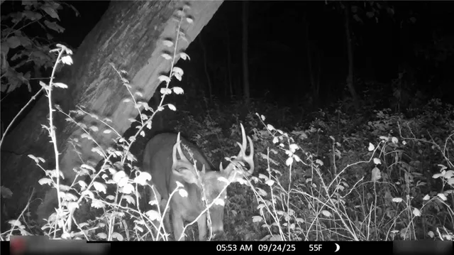 $325,000 | Flint Avenue, Jameson, MO 64647