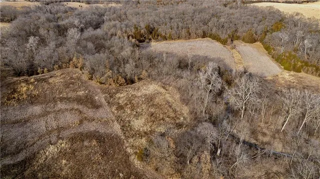 $325,000 | Flint Avenue, Jameson, MO 64647