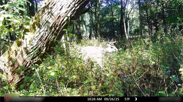 $325,000 | Flint Avenue, Jameson, MO 64647