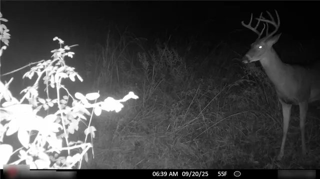 $325,000 | Flint Avenue, Jameson, MO 64647