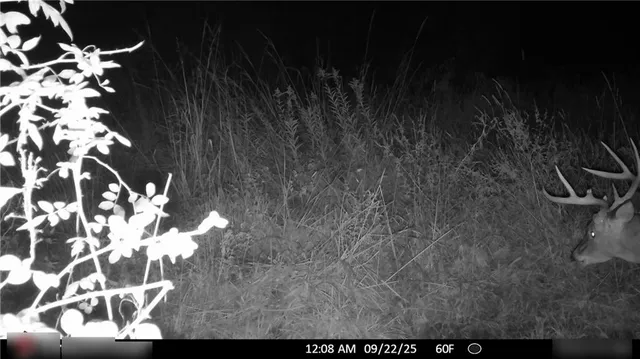 $325,000 | Flint Avenue, Jameson, MO 64647