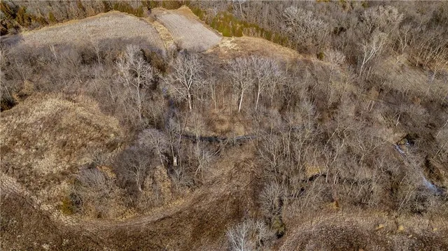 $325,000 | Flint Avenue, Jameson, MO 64647