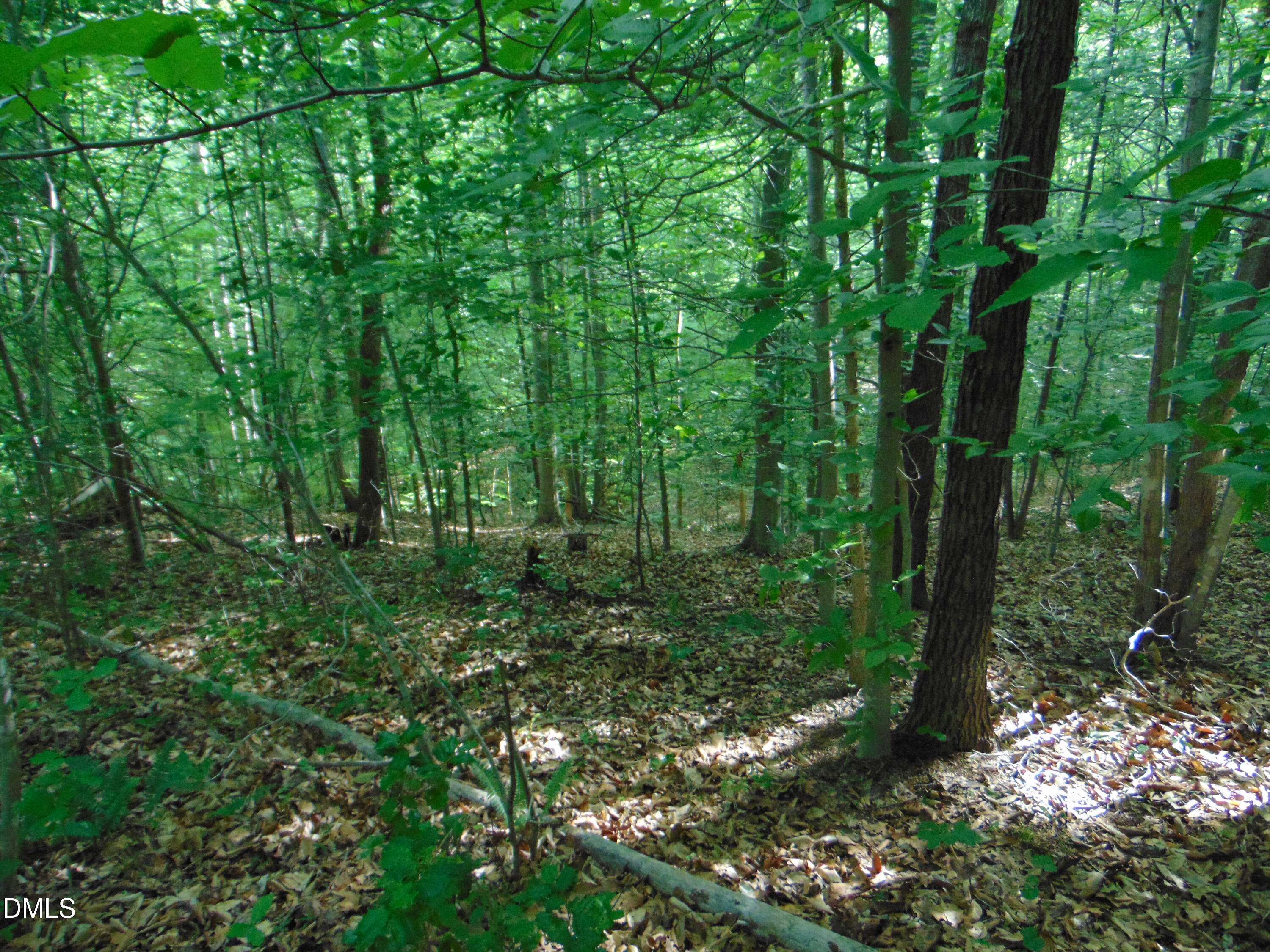 0 Walters Mill Road Providence, NC 27315 - Photo 16 of 22 DSC01573