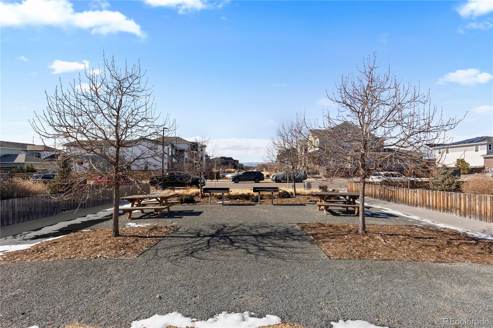 6058 North Perth Street Aurora, CO 80019 - Photo 47 of 47 a view of a yard with a tree