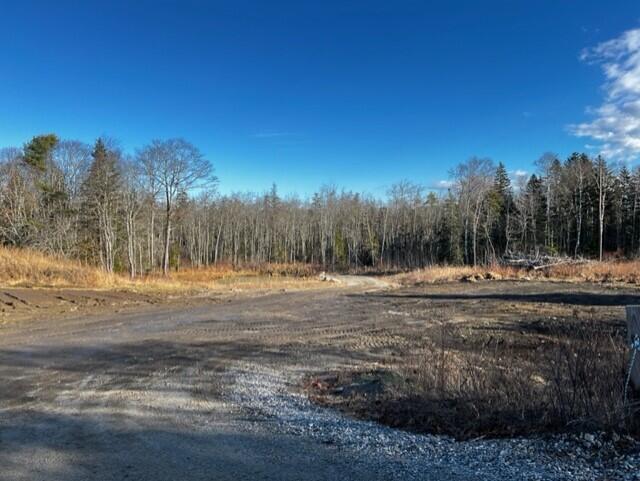 0 Seal Harbor Road Tenants Harbor, ME 04860 - Photo 3 of 6 Miller Land 2