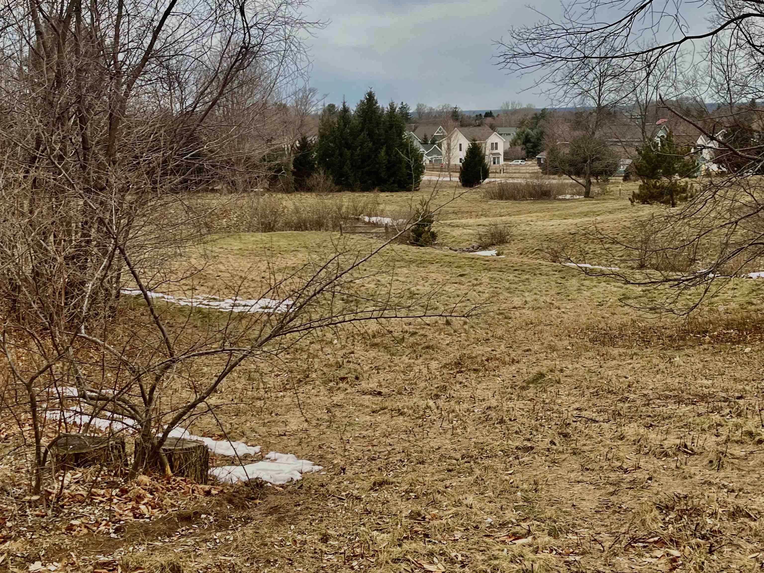 73 South Roen Drive, Unit LOT: 73 Empire, MI 49630 - Photo 11 of 12
