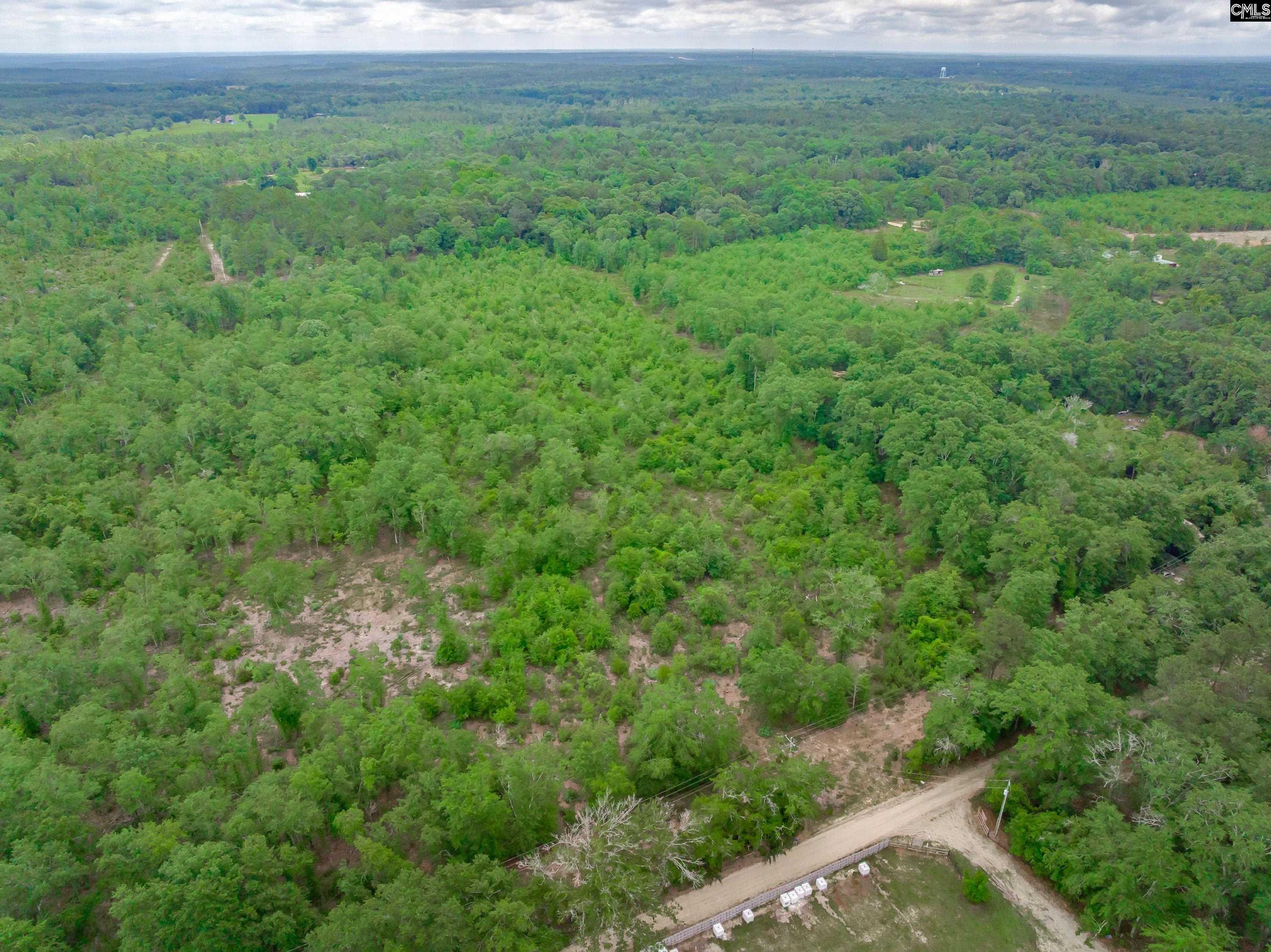 0 Seivern Road Wagener, SC 29164 - Photo 20 of 23