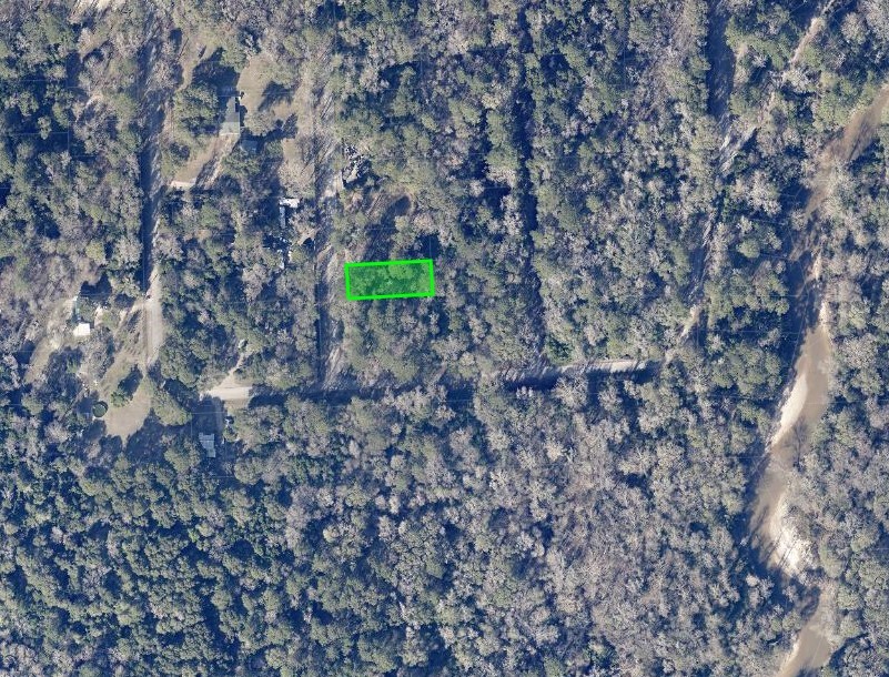 0 Idle Wilde Roadway Road New Caney, TX 77357 - Photo 1 of 12
