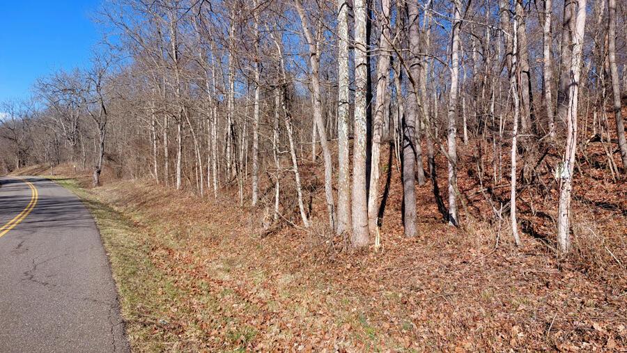 0 East Side Dexter Road Rutland, OH 45775 - Photo 4 of 9 04