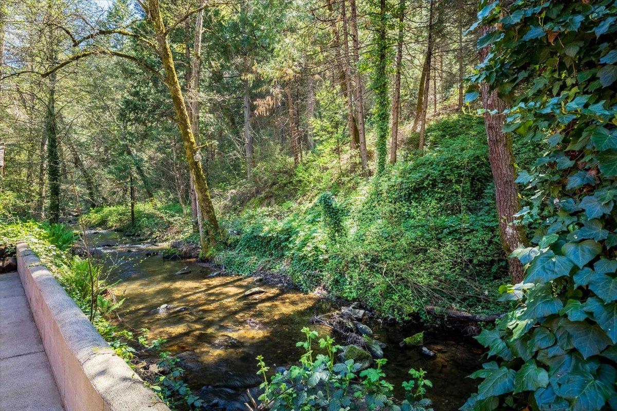 7449 Sly Park Road Placerville, CA 95667 - Photo 13 of 40