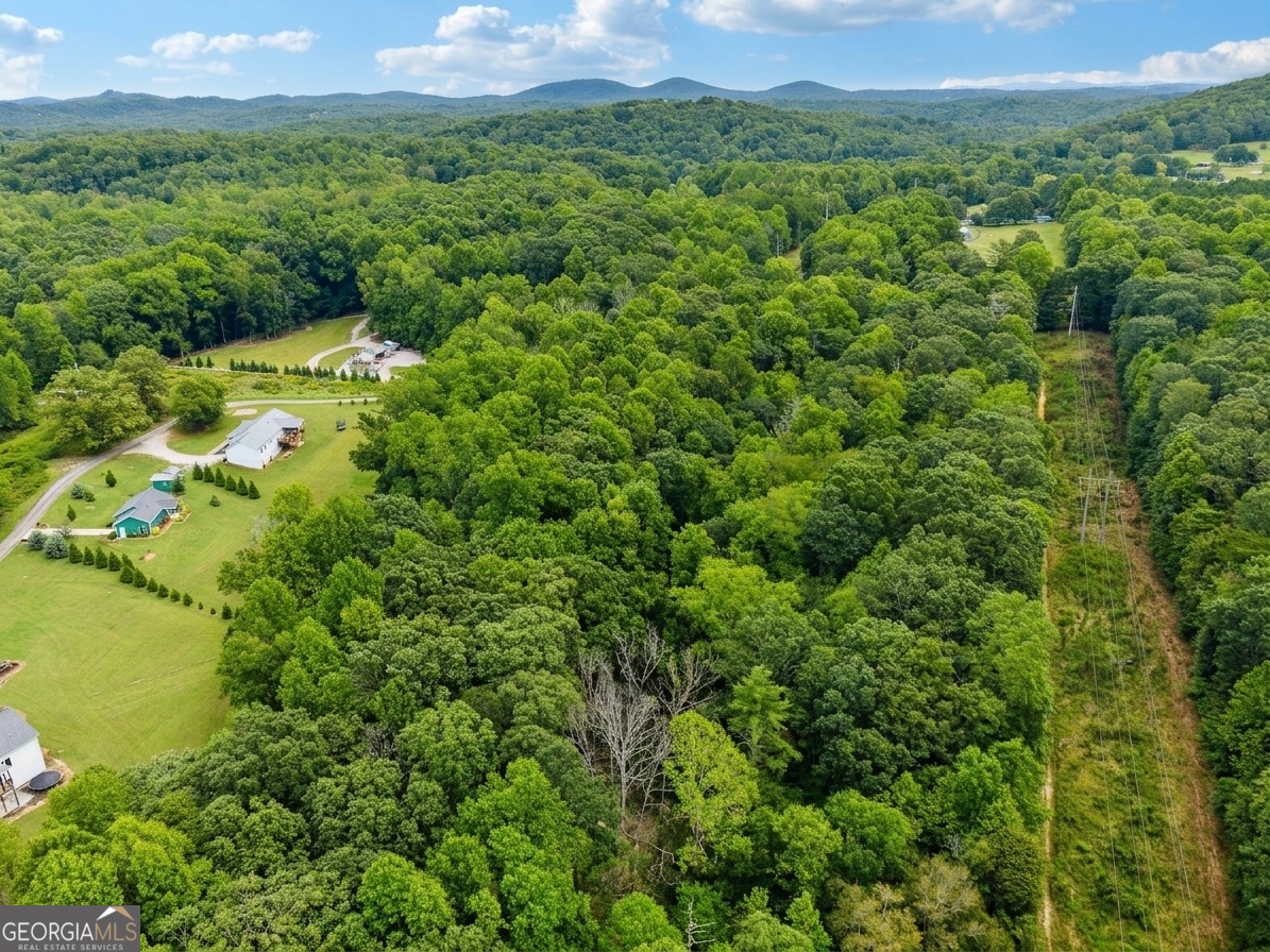 380 Guy Wimpy Road, Unit LOT 2 Dahlonega, GA 30533 - Photo 21 of 23