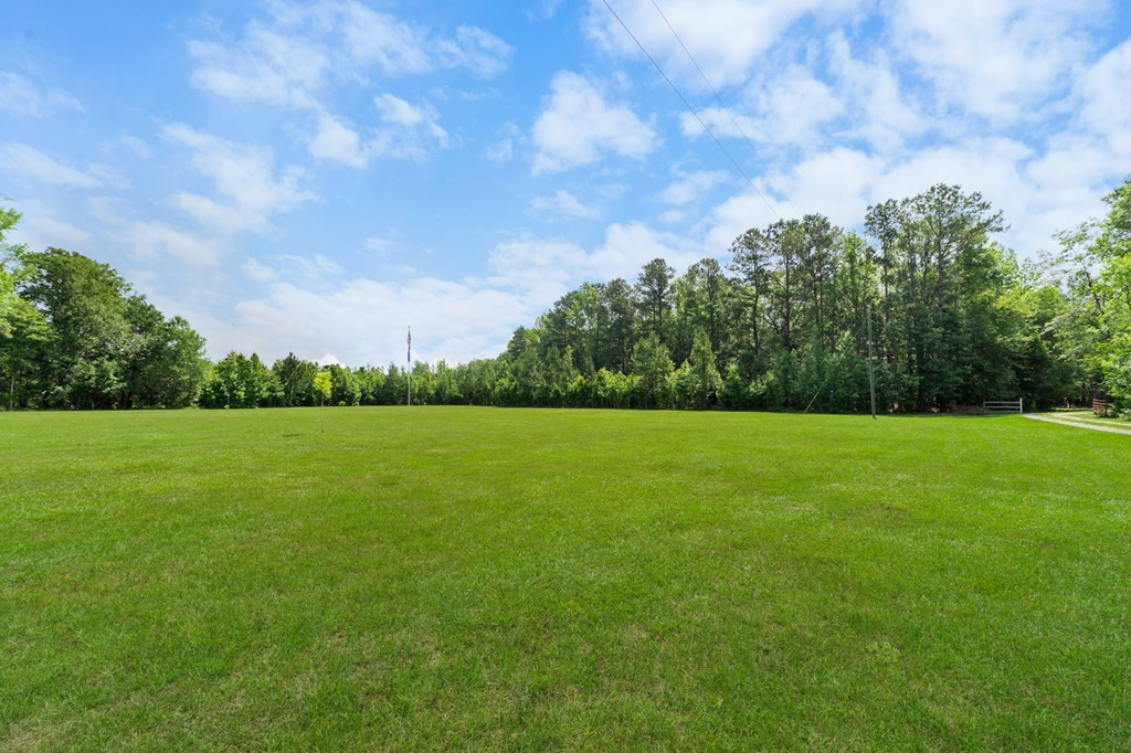 790 Trecer Road Cope, SC 29038 - Photo 4 of 24 Photo 4