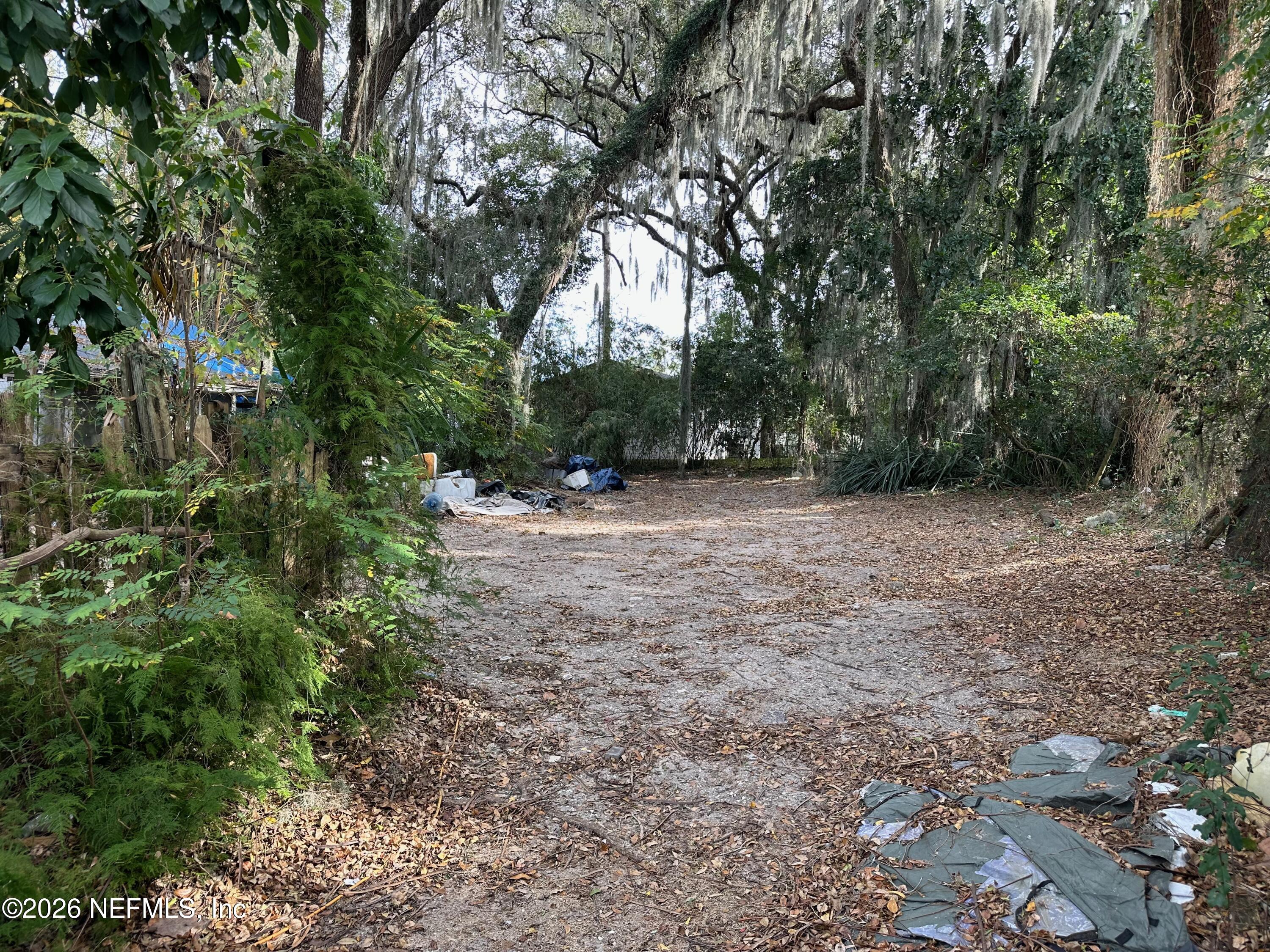 421 Arlington Road North Jacksonville, FL 32211 - Photo 8 of 25 a view of a forest with trees in the background
