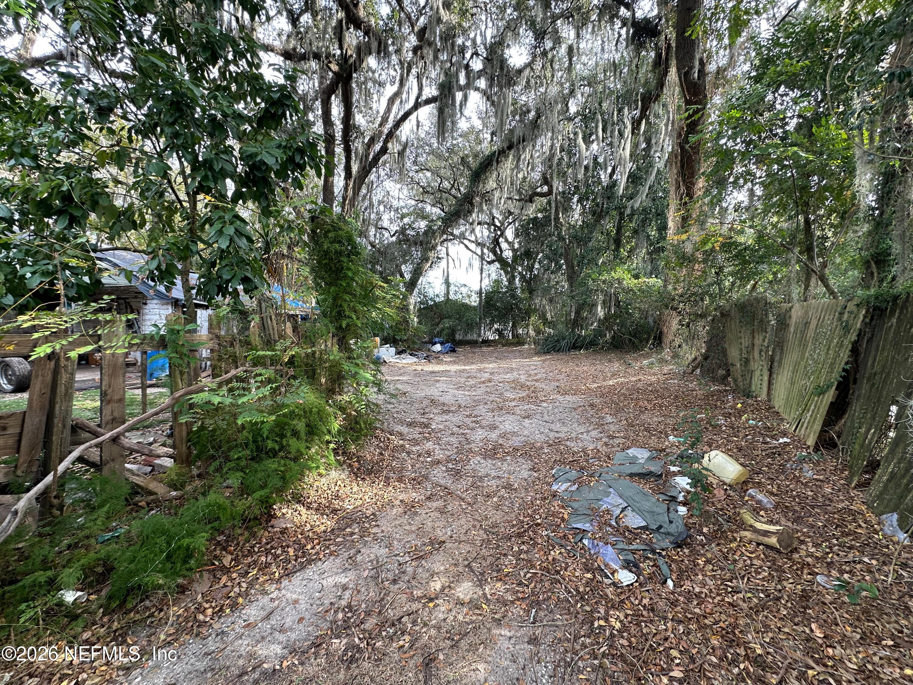 421 Arlington Road North Jacksonville, FL 32211 - Photo 9 of 25 a view of a forest with trees
