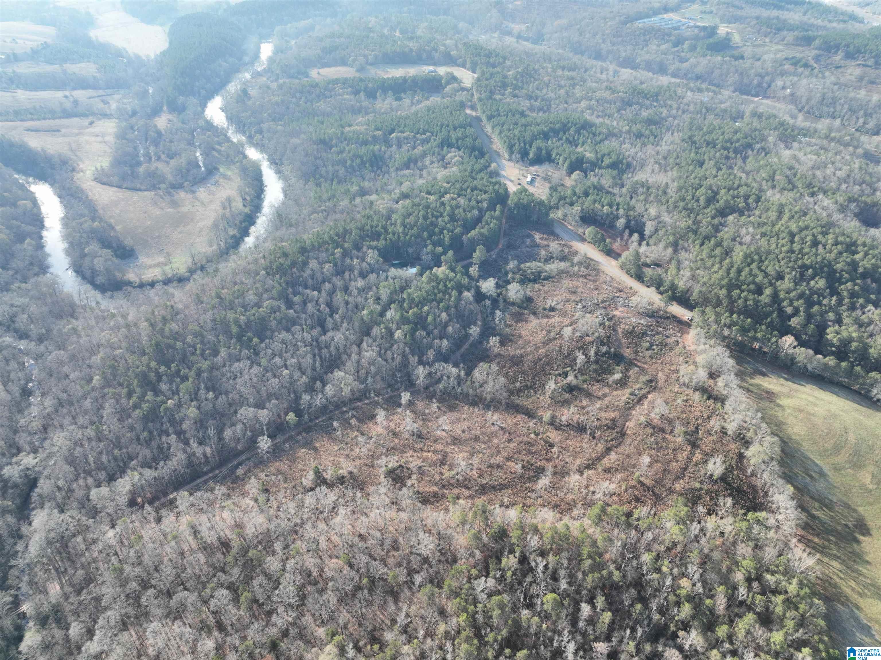 532 County Road Woodland, AL 36280 - Photo 10 of 12