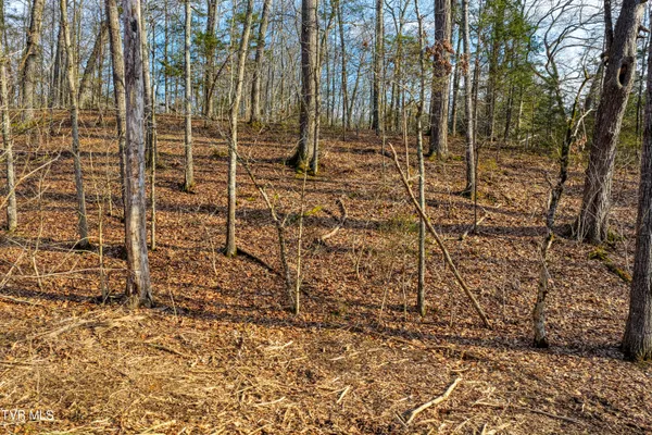 $219,000 | 3870 Dulaney Road, Mosheim, TN 37818