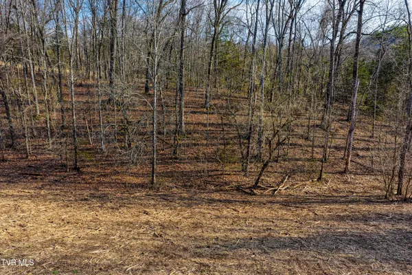 $219,000 | 3870 Dulaney Road, Mosheim, TN 37818